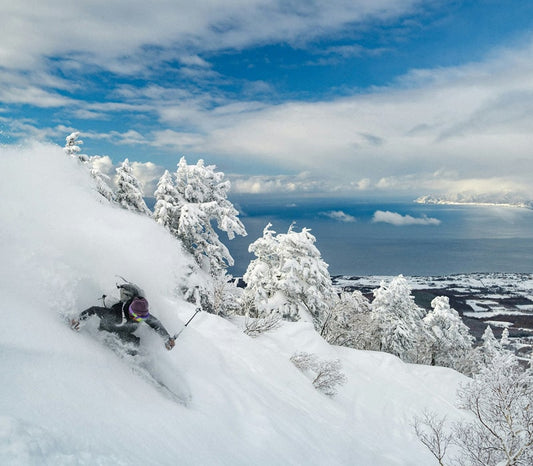 Snow, four ways