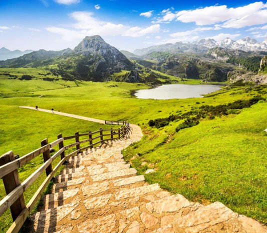 Amy's Top 10 Experiences of 2025