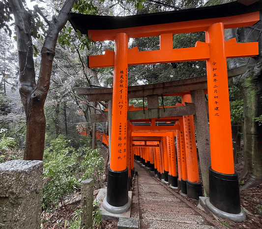 Behind-the-Scenes: Japan